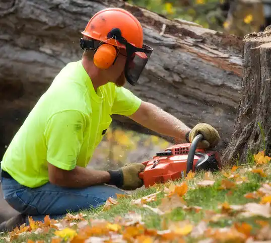 tree services Clarkfield